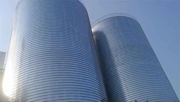 沁阳2座混凝土高架卷板仓